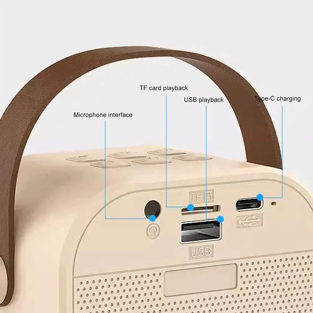 K12 Karaoke Machine Portable Bluetooth 5.3 PA Speaker System with 1-2 Wireless Microphones Home Family Singing Children's Gifts